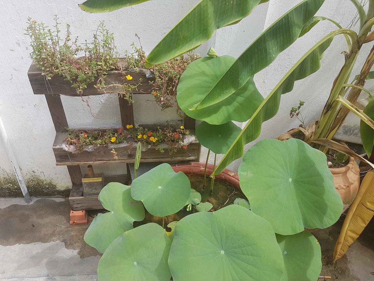 La La House Homestay ญาจาง ภายนอก รูปภาพ