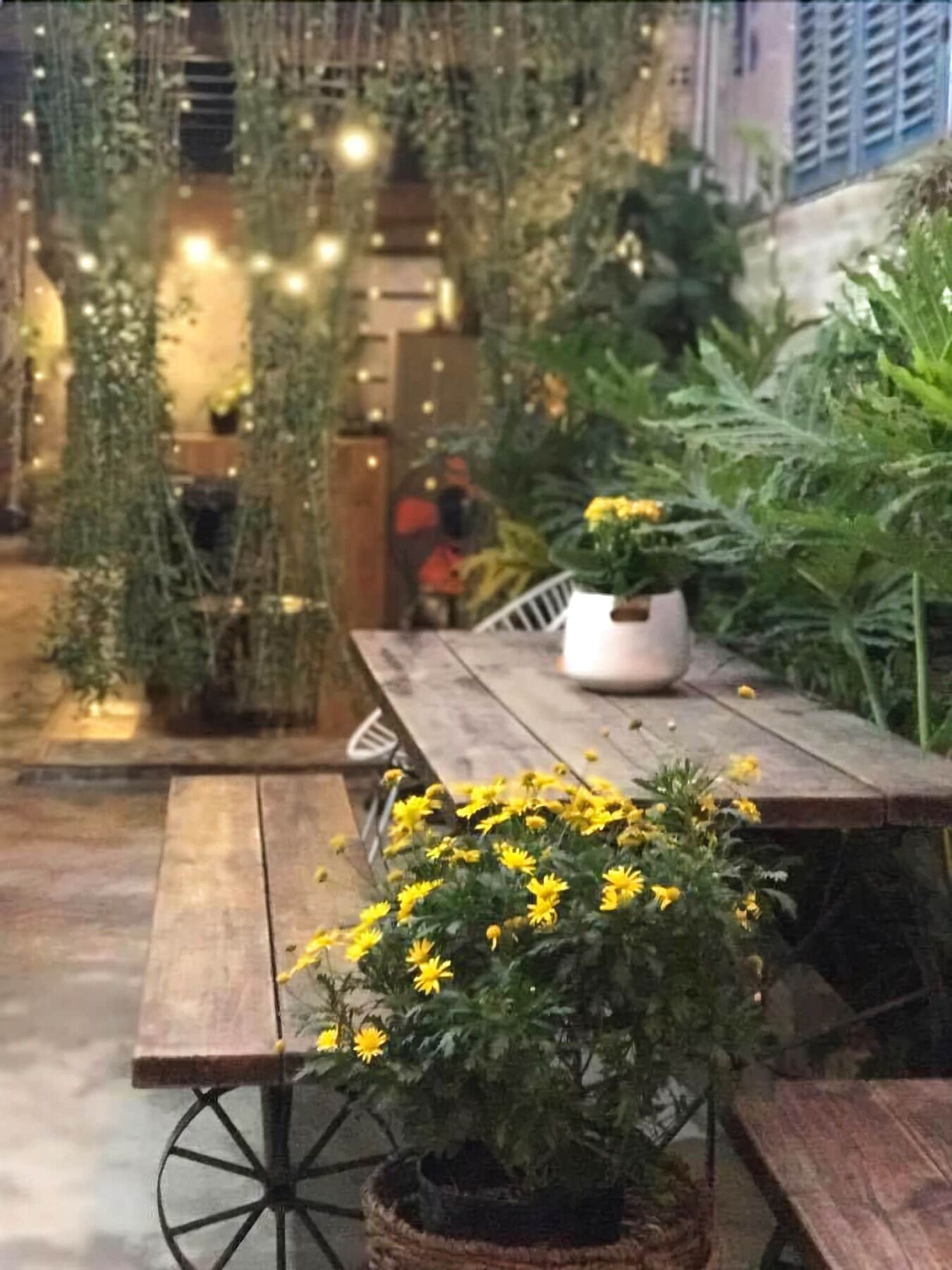 La La House Homestay ญาจาง ภายนอก รูปภาพ